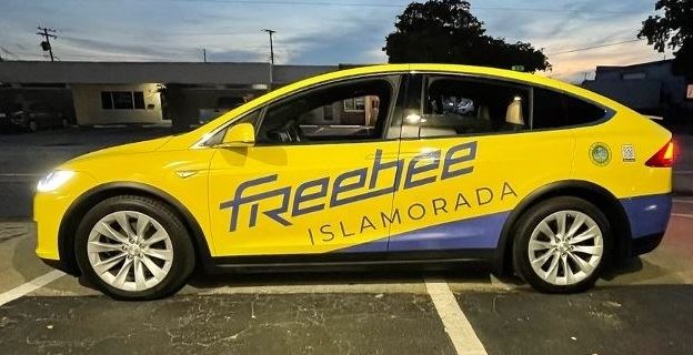 2021-04-Freebee-Tesla-X