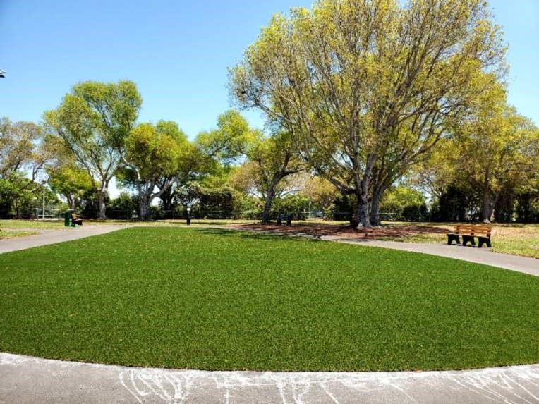 Large Dog Park Turf 1