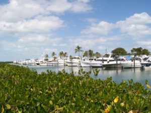 bulkhead-dock-photo-2-21-09-Copy-300x225