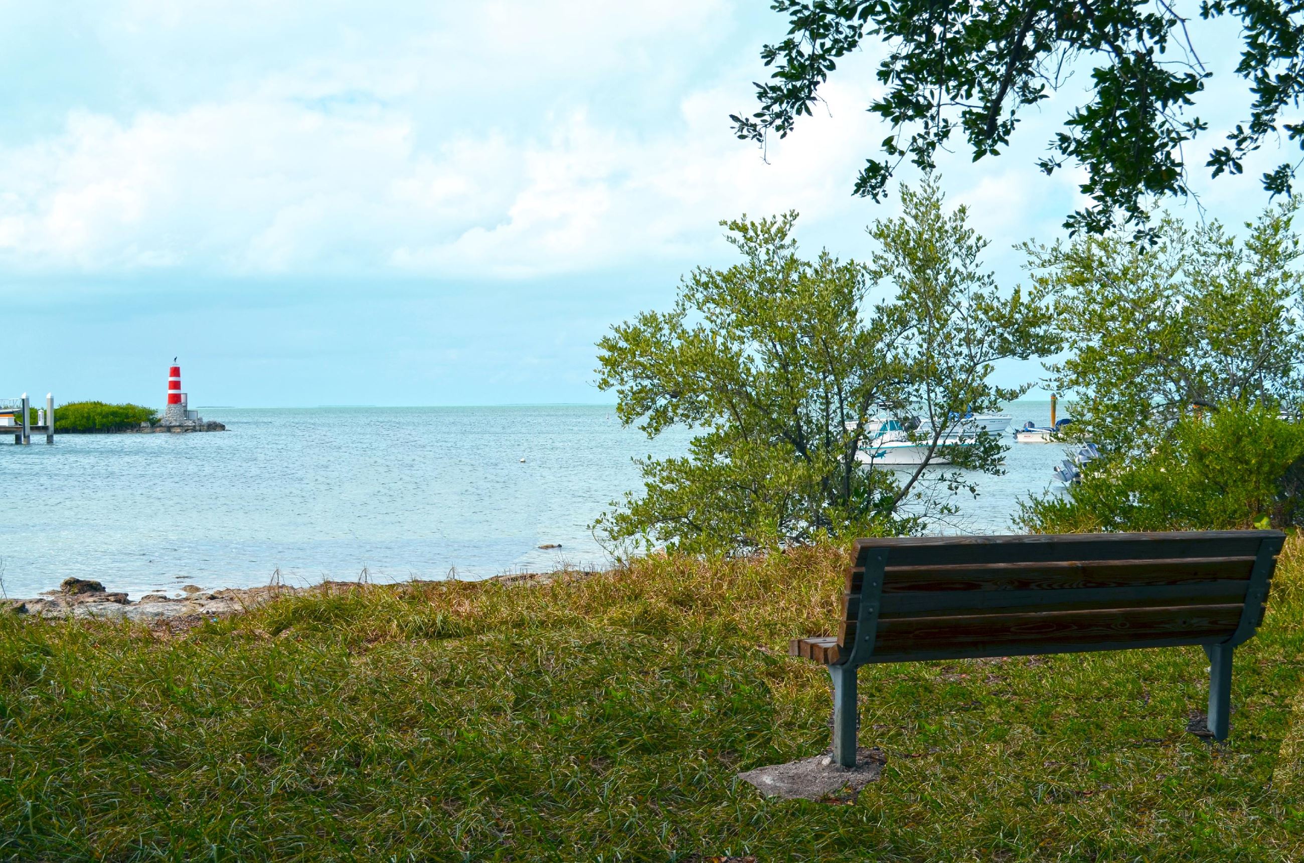 Planitation Hammock Preserve