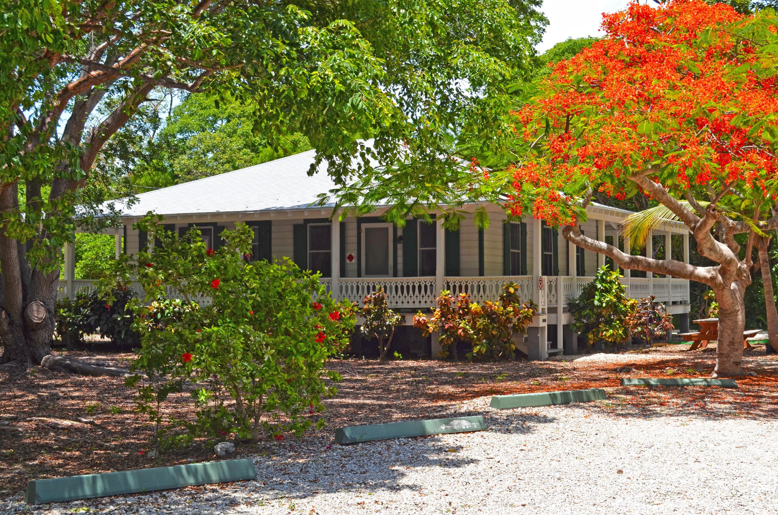 Green Turtle Hammock House