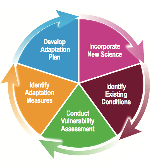 In-brief-use-this-graphic-recreate-or-clean-up